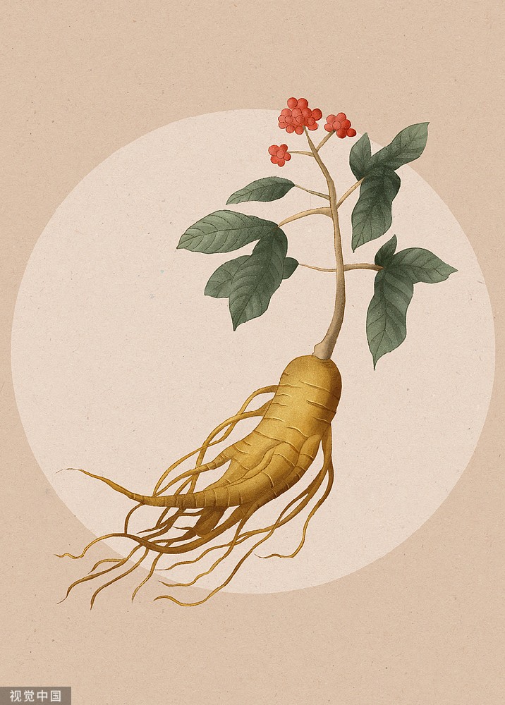 Ginseng Extract