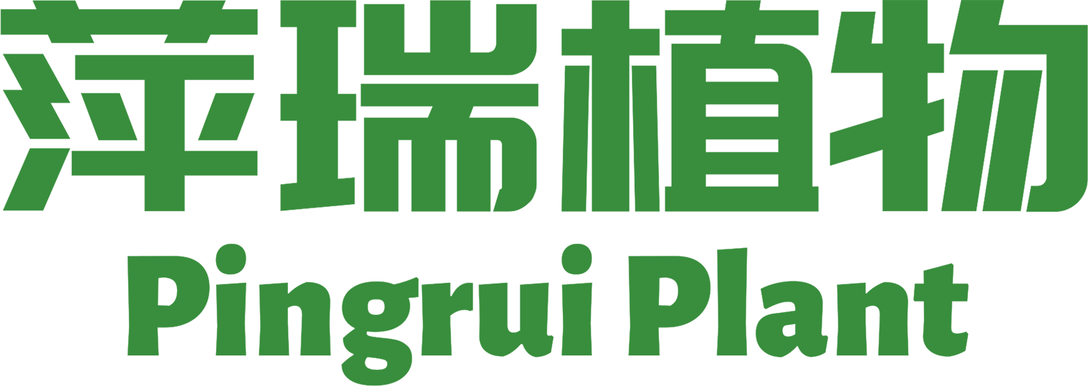 西安萍瑞植物开发有限公司 - 专业植物提取物生产厂家 | 天然原料供应商