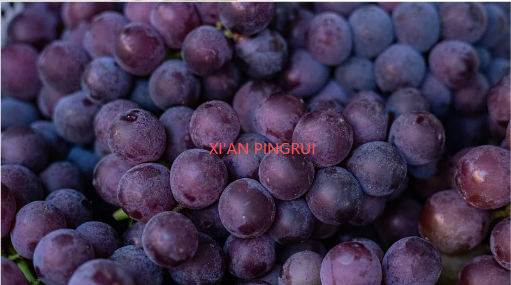 Grape seed Extract