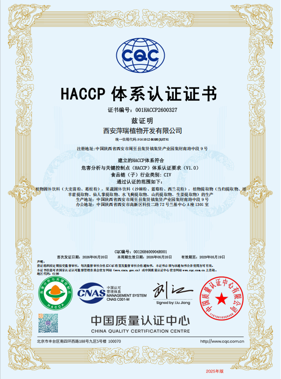 Honor 2